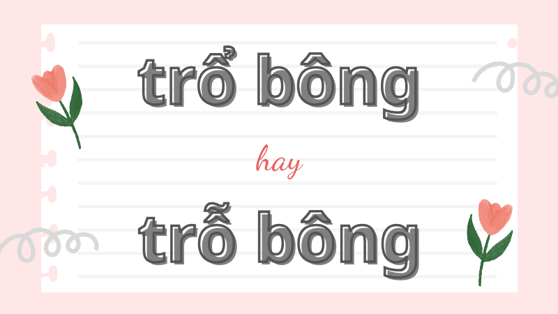 Trổ bông hay trỗ bông và cách dùng từ chuẩn trong tiếng Việt