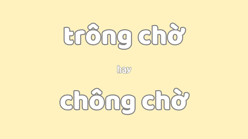 Trông chờ hay chông chờ và cách dùng từ chuẩn trong tiếng Việt