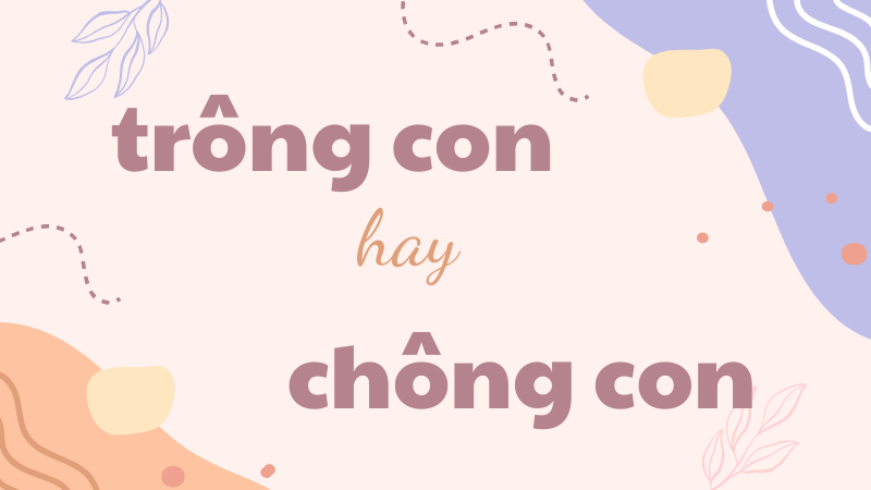 Trông con hay chông con và cách phân biệt từ ngữ dễ nhầm lẫn trong tiếng Việt