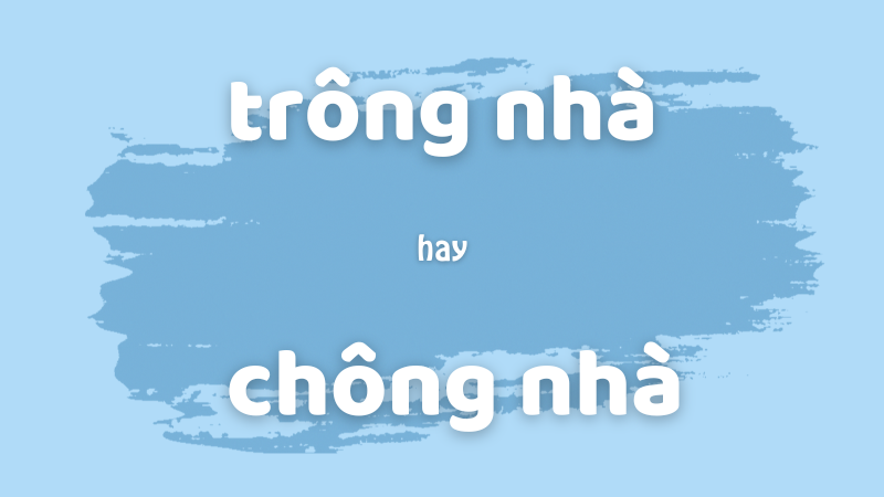 Trông nhà hay chông nhà và cách phân biệt từ dễ nhầm lẫn trong tiếng Việt