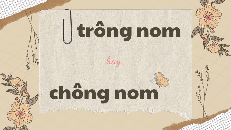 Trông nom hay chông nom và cách phân biệt từ dễ nhầm lẫn trong tiếng Việt