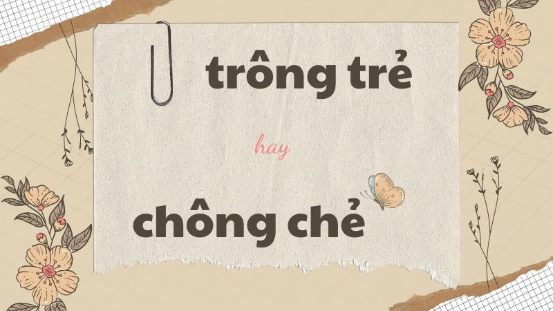 Cách viết đúng trông trẻ hay chông trẻ và những lỗi chính tả thường gặp