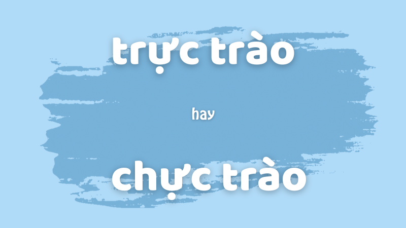 Phân biệt trực trào hay chực trào chuẩn chính tả trong tiếng Việt