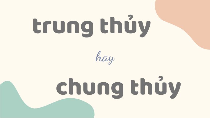 Phân biệt trung thủy hay chung thủy và cách dùng từ chuẩn trong tiếng Việt