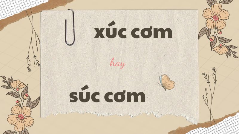 Xúc cơm hay súc cơm và cách phân biệt chính xác trong tiếng Việt